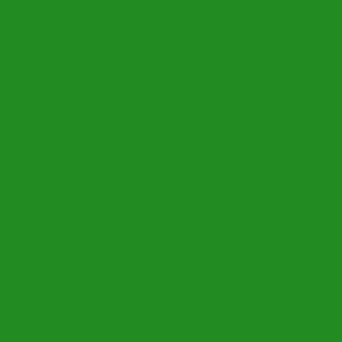b6HfStMog4qkOX41581357023_1581